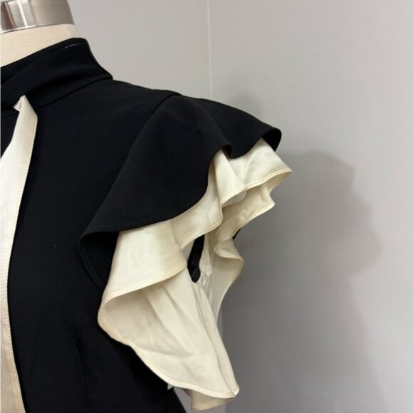 Cinq a Sept Black Ruffle Dress - Picture 2 of 15